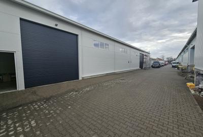Hale noi depozitare Lugoj diferite dimensiuni 115 mp - 530 mp utili!! - 7