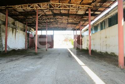 GIURGIU | Hala 5.000 mp | Acces TIR | Parcare TIR | Inaltime 7m - 10