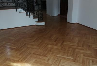 Închir Vila Floreasca 9 camere - 3