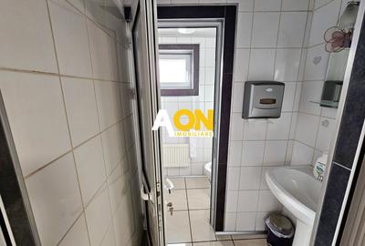 Casă de lux D+P+1, Cetate Alba Iulia, 616 mp, teren 937 mp, 2 garaje - 26