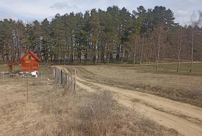 De vânzare teren intravilan în Lacul Reci - 7