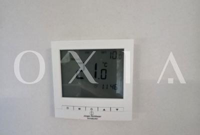 AX1271 Dumbravita, Ion Creanga, Casa Individuala Parter, Garaj - 10