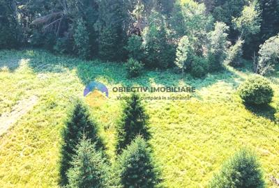 Teren TARCǍU - SCHITU,judetul NEAMȚ - 5