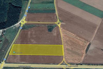 Teren Intravilan Constructii de 12.300 mp, Cu Deschidere la Sosea Asfaltata - 7
