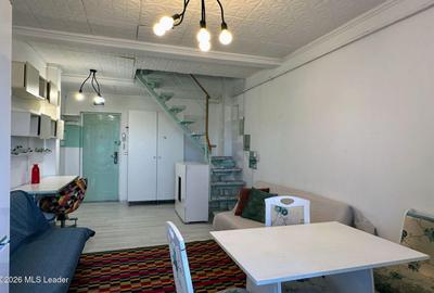 Fizicienilor - Lacramioarei, 3 camere 67 mp, pod 40 mp, modernizat - 2
