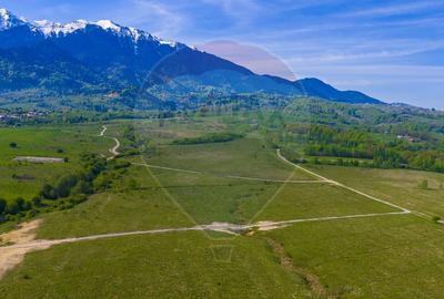 Teren extravilan 13,800mp Rasnov / Traseu Via Transilvanica - 7