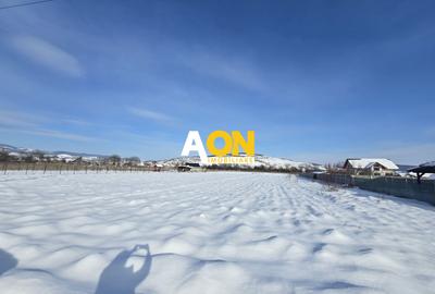 Teren 1200mp Intravilan, cu Utilitati - 1