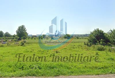 Teren intravilan, 8000mp, Agapia - 1