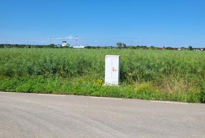 Oportunitate Unică! Teren de Vânzare aproape de Pădure – Ciolpani Izvorani - 6
