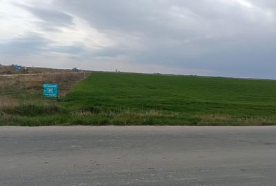Teren extravilan 5 hectare ( zonă industrială ) Șag - 7