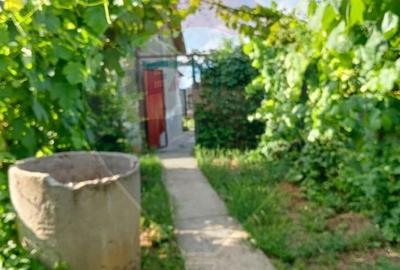 Casă de vânzare oras Sacueni,  zona Centrala - 15