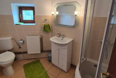 Trăiește in inima Deltei Dunării - Casă de vacanță exclusivă - 12
