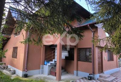 Casă deosebită 5 camere, 2100 mp teren, livadă – Mălureni, Argeș - 4