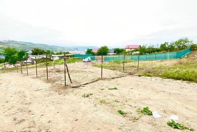 Teren intravilan, Miroslava, 800mp, Exclusivitate! - 7