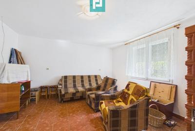 Casă cu teren 2877 mp, orașul Ineu - 10