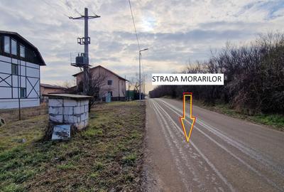 TEREN DEOSEBIT BALOTESTI-SAFTICA | DESCHIDERE LA 2 DRUMURI - 1