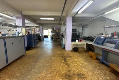 Spatiu de productie / depozit / birouri - 4
