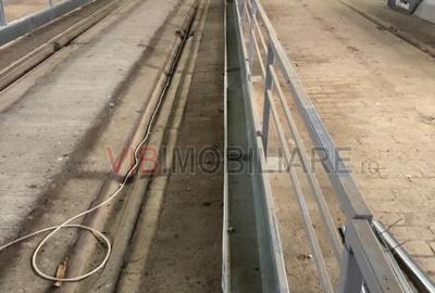 Ferma complet utilată – 30 ha teren comasat cu 11.500mp grajduri renovate Timiș - 10