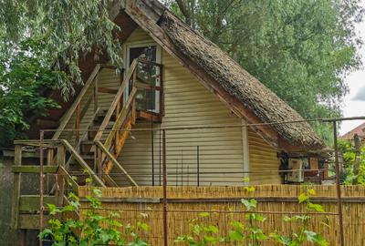 Pensiune, Afacere la cheie in Delta Dunării, Uzlina - 10