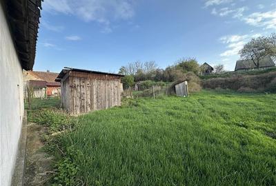 Casa 3 camere + 450 mq de teren, Rosiori - 2