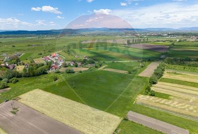 Teren 25.100 mp cu potențial major de dezvoltare în Prejmer - 8
