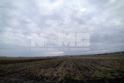 TEREN | Radauti | 6.000 mp | 62.800 EURO - 4