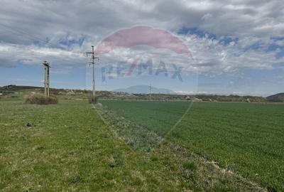 Teren cu potential industrial Luna de Jos, Dabaca - 13