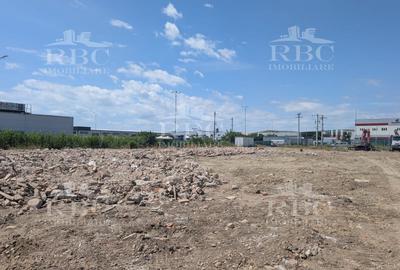 Teren intravilan 30000 mp cu destinatie industrial/logistic Apahida - 2