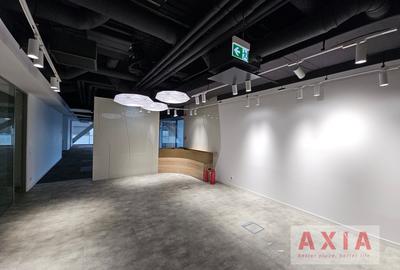 Birou premium in zona Piata Victoriei - 9