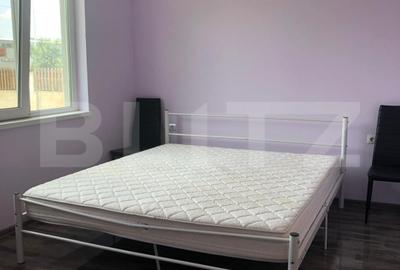 Casă P+M, teren generos 924 mp, Ideală pentru locuit + activitate profesionala - 6