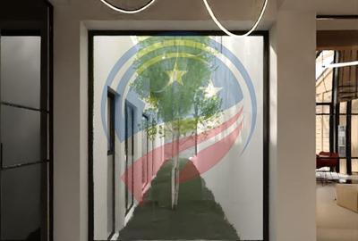 Vila de lux/ ultracentral/ Craiova - 26