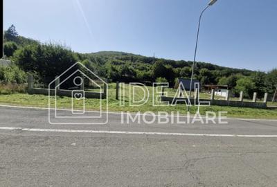 Teren extravilan 2.300 mp – Cârțișoara, județul Sibiu - 1