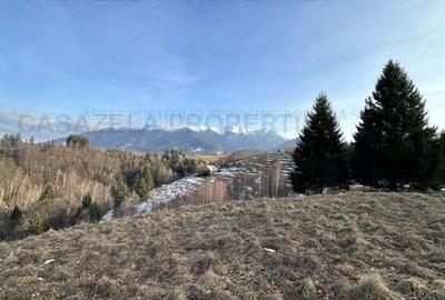 Teren 2,5 hectare in Simon, comuna Bran - 3