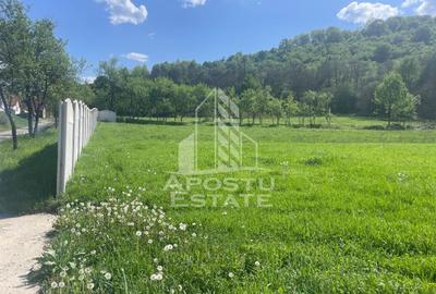 Teren intravilan, partial imprejmuit, eligibil grant- Pojoga, com. Zam - 7