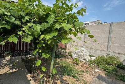 CASA DE VANZARE - INEL 1 - 3 CAMERE+ANEXE - - 2