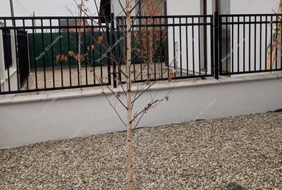 Duplex  4 Camere 250mp Teren| Mosnita Noua-Str Oituz - 4