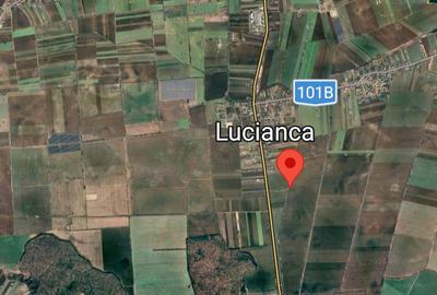 Vanzare 5000 mp teren  Butimanu-Lucianca (aproape de Bucuresti) padure apropiere - 1