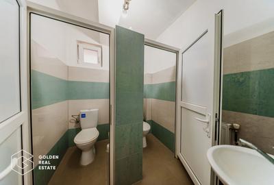 Proprietate pretabila pentru afacere, Cladova - 18