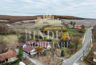 Oportunitate investitie: două reședințe de vacanță/ cabane 3940mp teren - 14