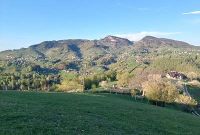 Teren intravilan panoramic în Peștera, Moieciu - 11048 mp - 4