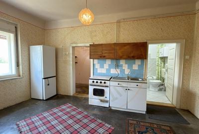 Casă 4 camere, Teren 1955 mp Str. Vezendiului Nr. 366 - Loc. Petrești, Satu Mare - 7