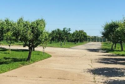 Oportunitate de investiții la km 70 Autostrada Bucuresti-Pitesti! - 4