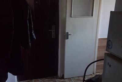 Apartament doua camere, nedecomandat, etaj trei, CT, termopan, balcon, geam baie - 9
