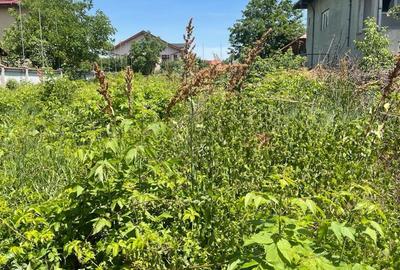 REL4000844 Teren Voluntari Intravilan Pretabil Case Investitie - 10