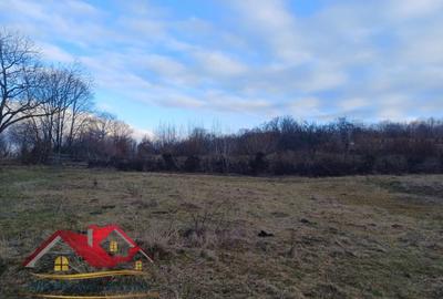 Teren Intravilan 3000 mp – Cisnădie - 1