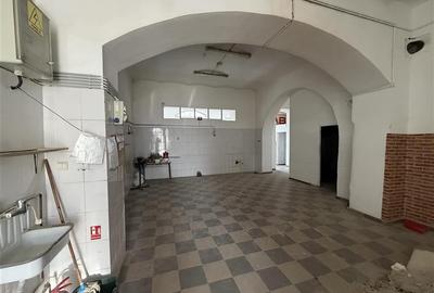 Spatiu ultracentral de inchiriat Valea lui Mihai - 1