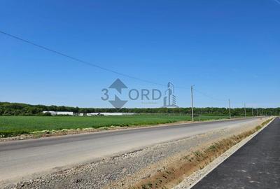 TEREN INTRAVILAN 17.714 MP – SCROVIȘTEA / BĂLTENI – LÂNGĂ PĂDURE - 3