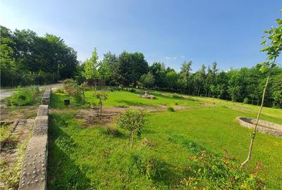 Teren intravilan Sacel -zona lacuri -ultimul lot de 900mp - 7