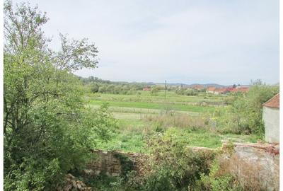Casa deosebita cu gradina generoasa Vladeni - 20