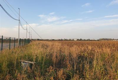 RECO Teren intravilan zona Borsului - 12